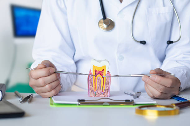 Best Same-Day Emergency Dental Services in Woxall, PA